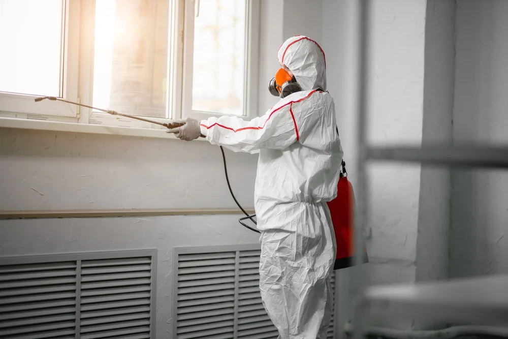 Professional mold remediation services in Keystone Heights, FL